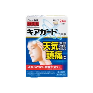 和汉笺-五苓散24锭