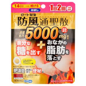 和汉笺-防风通圣散168锭