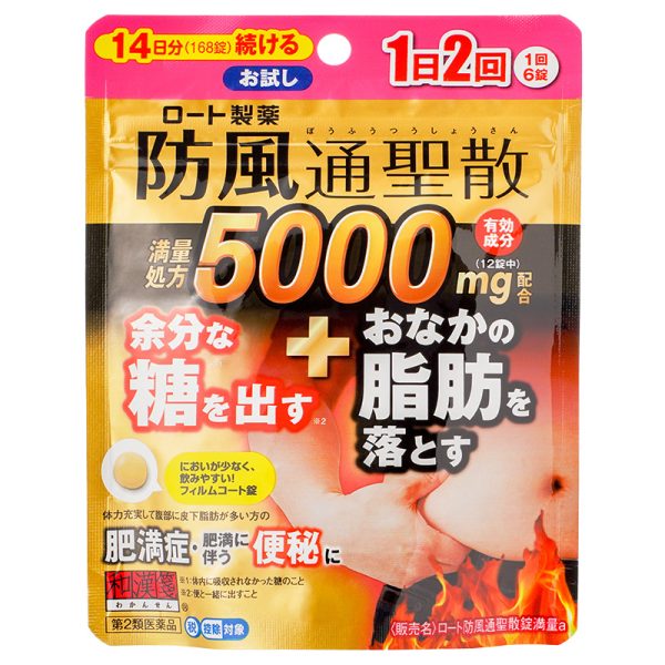 和汉笺-防风通圣散168锭
