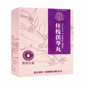 同仁堂 桂枝茯苓丸