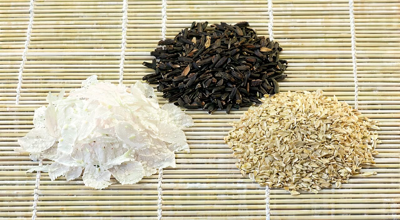 白扁豆的药材饮片,包括带皮种子、白扁豆仁和炒白扁豆