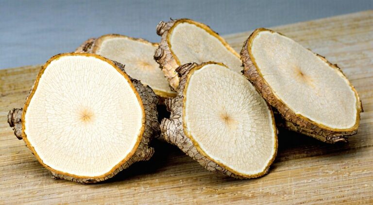Close-up of white peony root slices