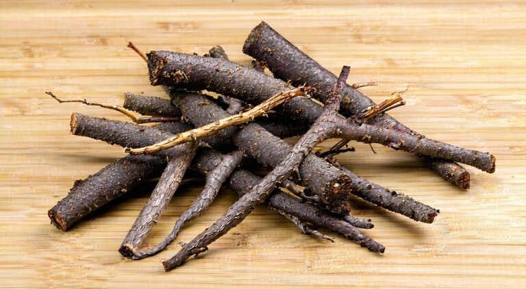 白薇干燥根及根茎