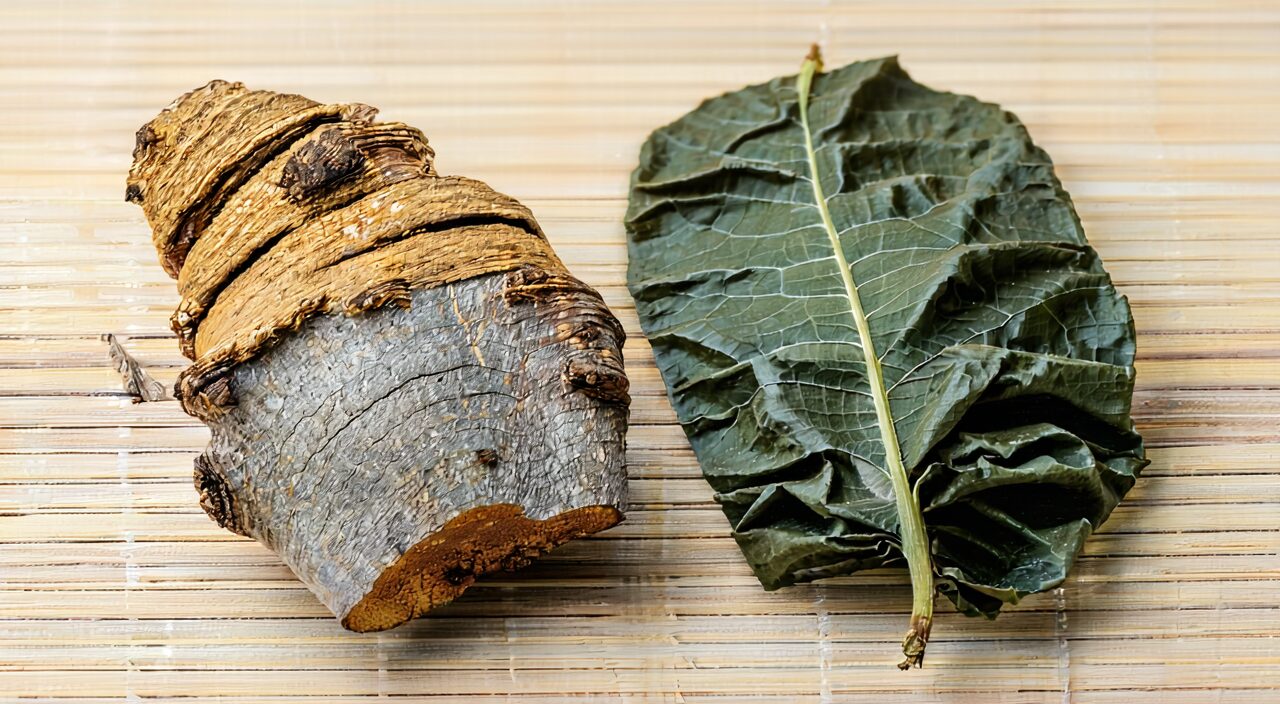 Comparison of Ban Lan Gen roots and Da Qing Ye leaves