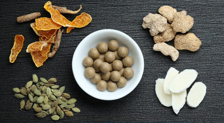 Still life of traditional Chinese medicine: Bao He Wan and its constituent medicinal herbs