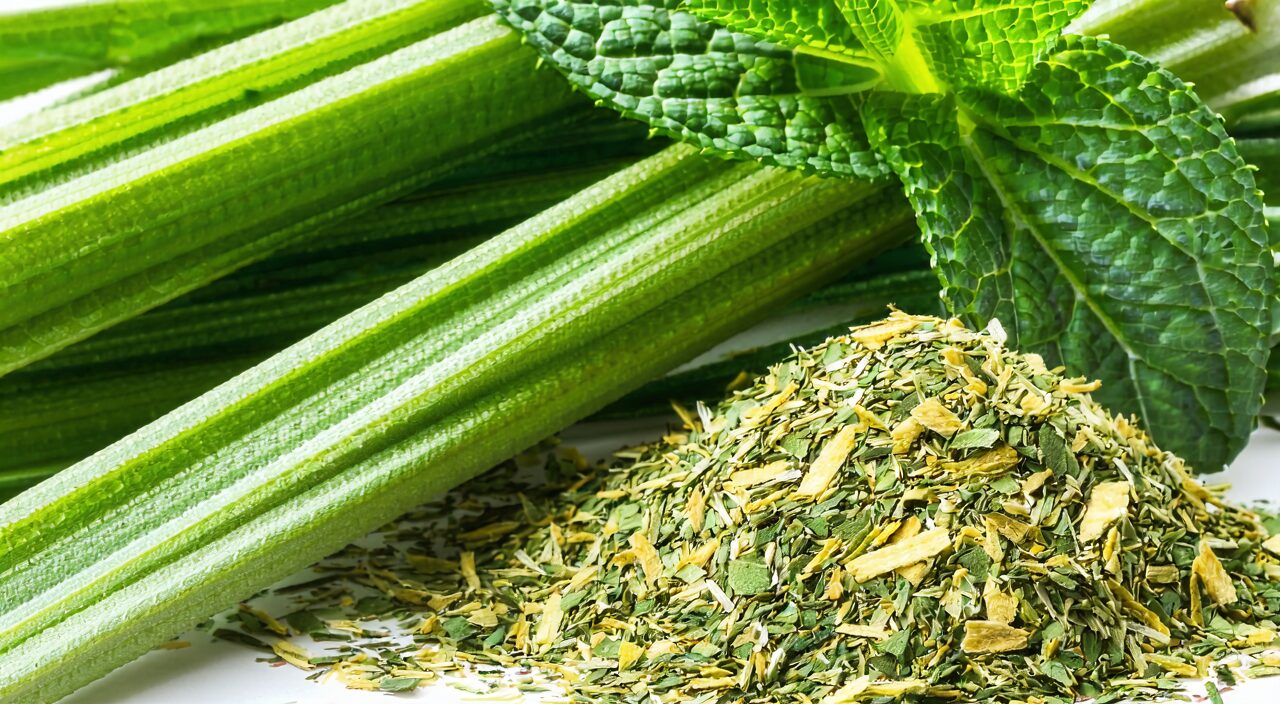 薄荷方形茎、对生叶和干燥药材特写