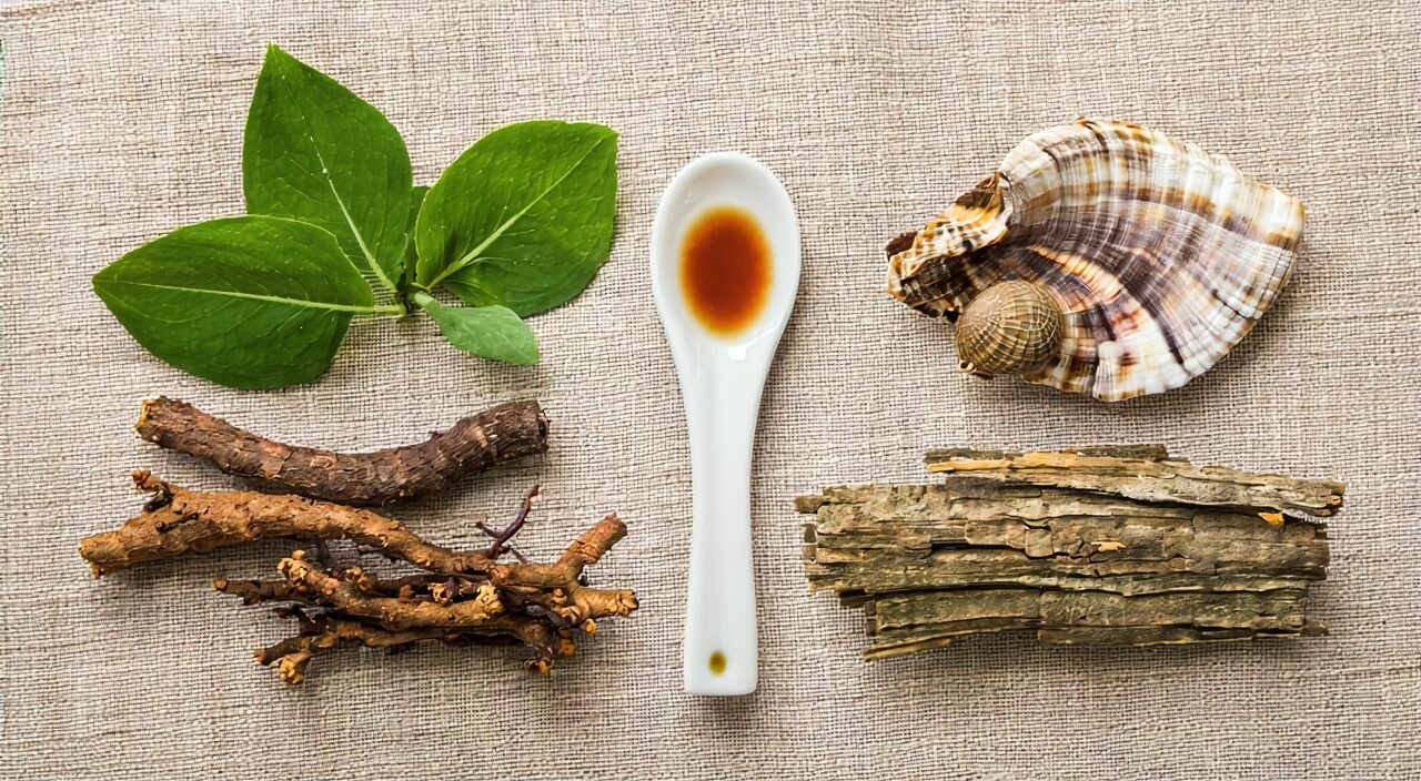 Still life of common herbal ingredients in Da Bu Yin Wan