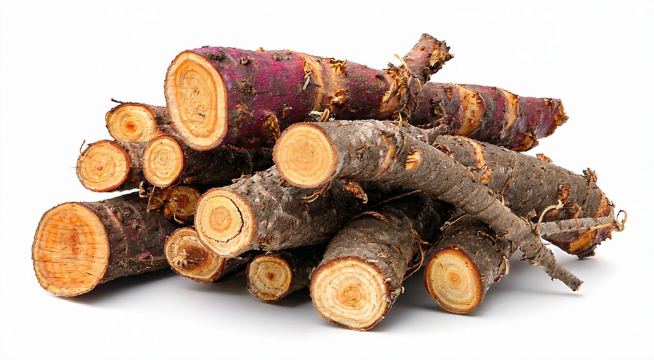 Overall appearance of dried Dan Shen root