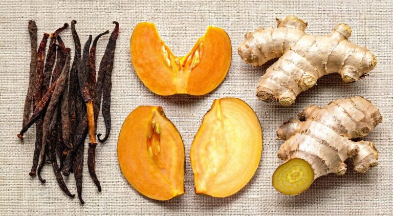 A clean professional still life of the typical herbal combination for Clove and Persimmon Calyx Decoction: clove, persimmon calyx, ginseng, and fresh ginger