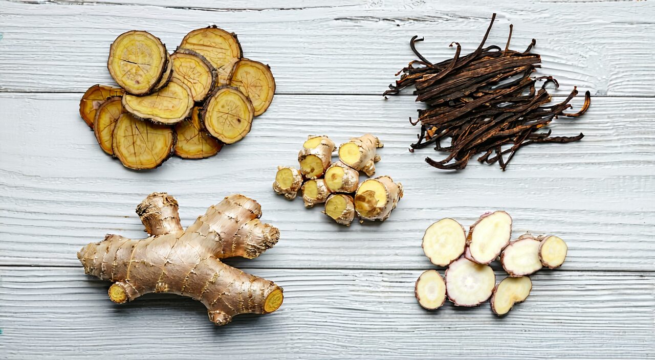 Five herbs – aconite, dried ginger, ginseng, white atractylodes, and licorice – displayed flat