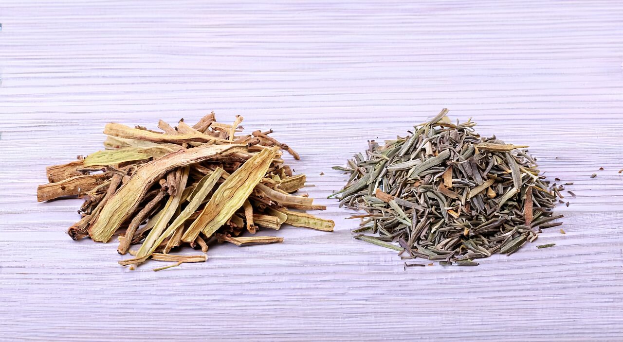 Appearance comparison between astragalus and codonopsis