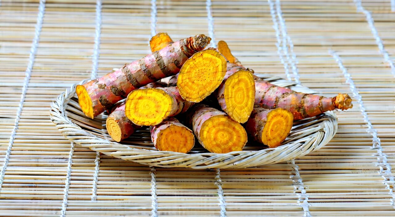 Dried turmeric rhizome with ring-like node scars on the surface