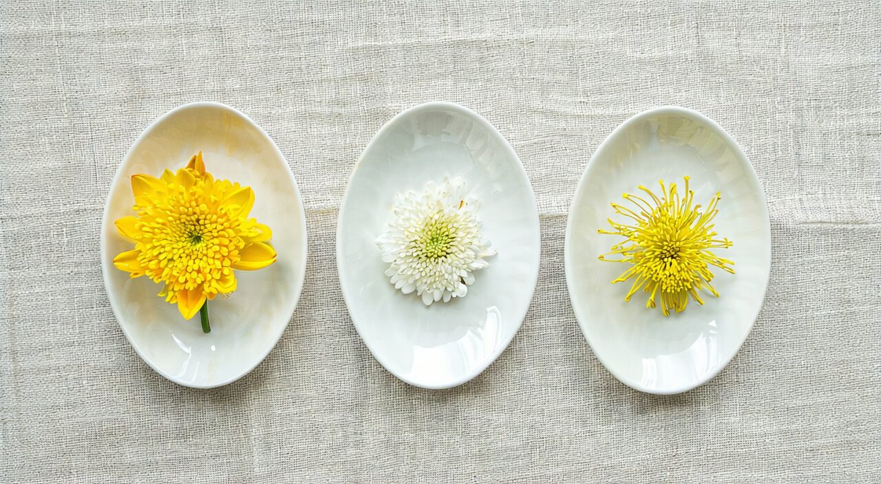 Appearance comparison of Hang Ju, Gong Ju, and wild chrysanthemum