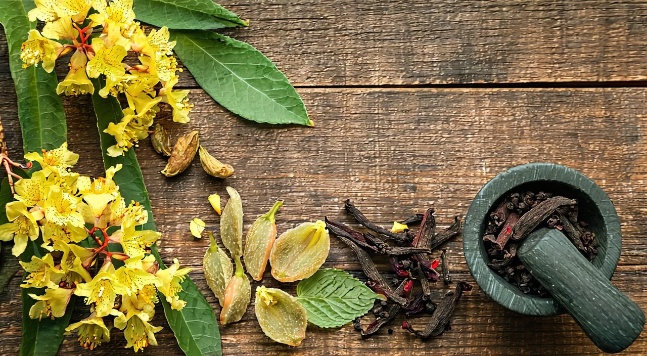 Traditional combination of forsythia with Lonicera flower, mint, and other Chinese herbs