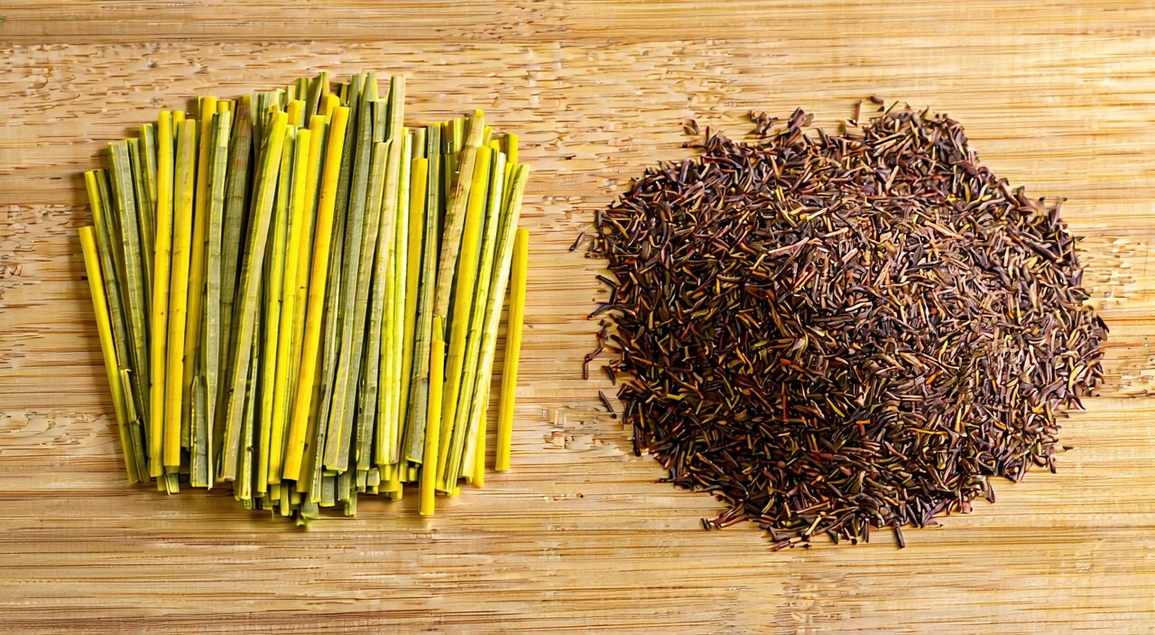 左侧麻黄茎与右侧麻黄根的对比展示