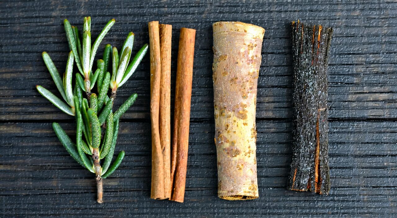 Close-up of four Chinese herbal medicines: Ephedra, Cinnamon Twig, Apricot Kernel, and Honey-fried Licorice Root
