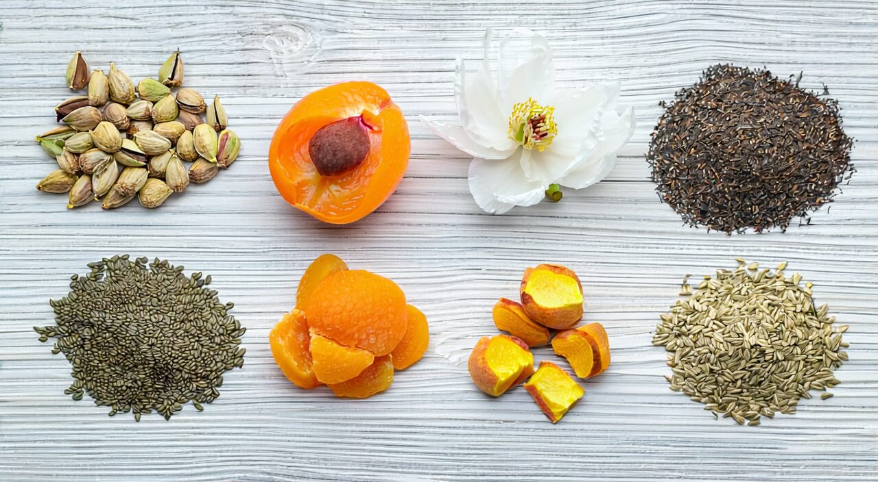 The six medicinals in Ma Zi Ren Wan: Huo Ma Ren, Xing Ren, Bai Shao, Da Huang, Zhi Shi, Hou Po