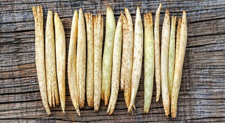 Overall view of dried Ophiopogon japonicus root tubers