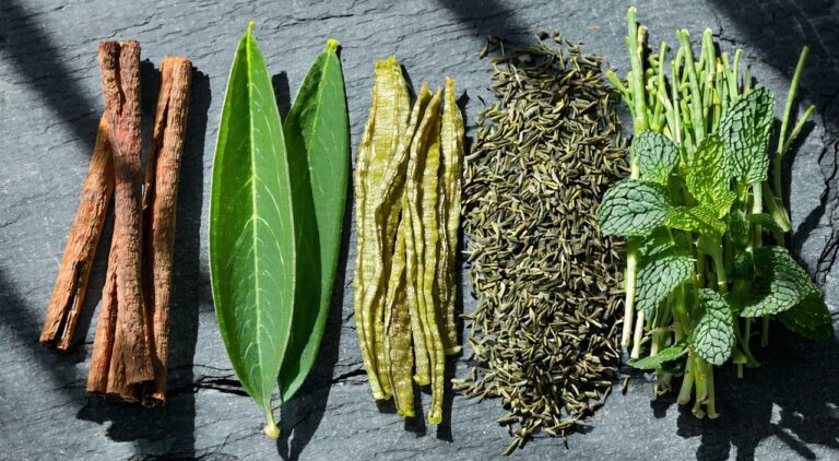 Still life of Chinese herbal ingredients for Muxiang Shunqi Pills