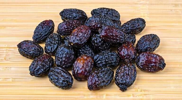 Dried glossy privet fruit