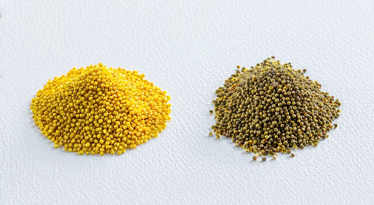 Side-by-side comparison of Pollen Typhae and pine pollen showing differences in color and texture