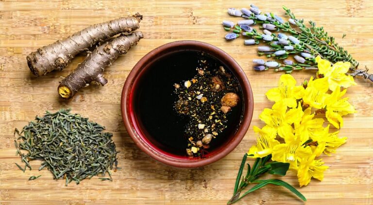 Theme image of Puji Xiaodu Decoction, showcasing the decoction and representative herbs