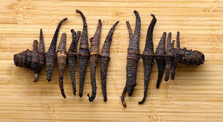 Dried Notopterygium rhizome showing silkworm and bamboo-node forms