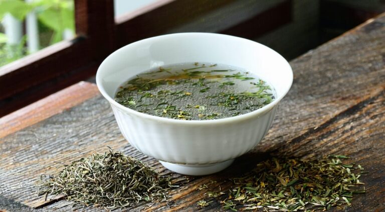 羌活胜湿汤主题的中药汤剂与药材静物图