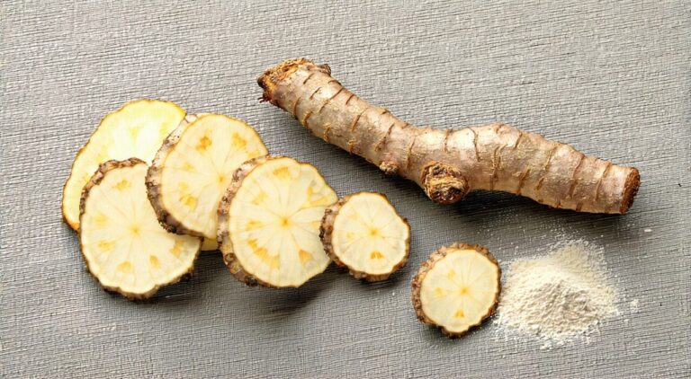 Professional display of Panax notoginseng roots, slices and powder