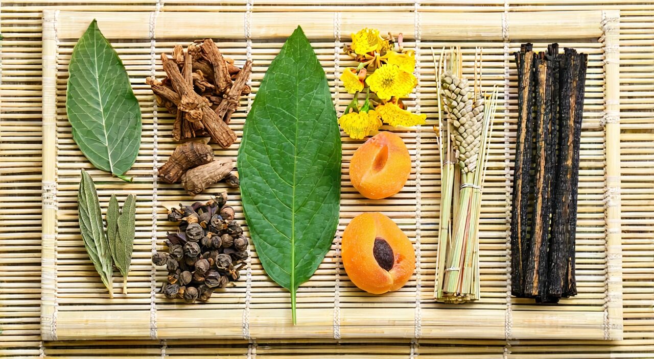 Common herbs of Sang Ju Yin: Mulberry Leaf, Chrysanthemum, Forsythia, etc., naturally arranged