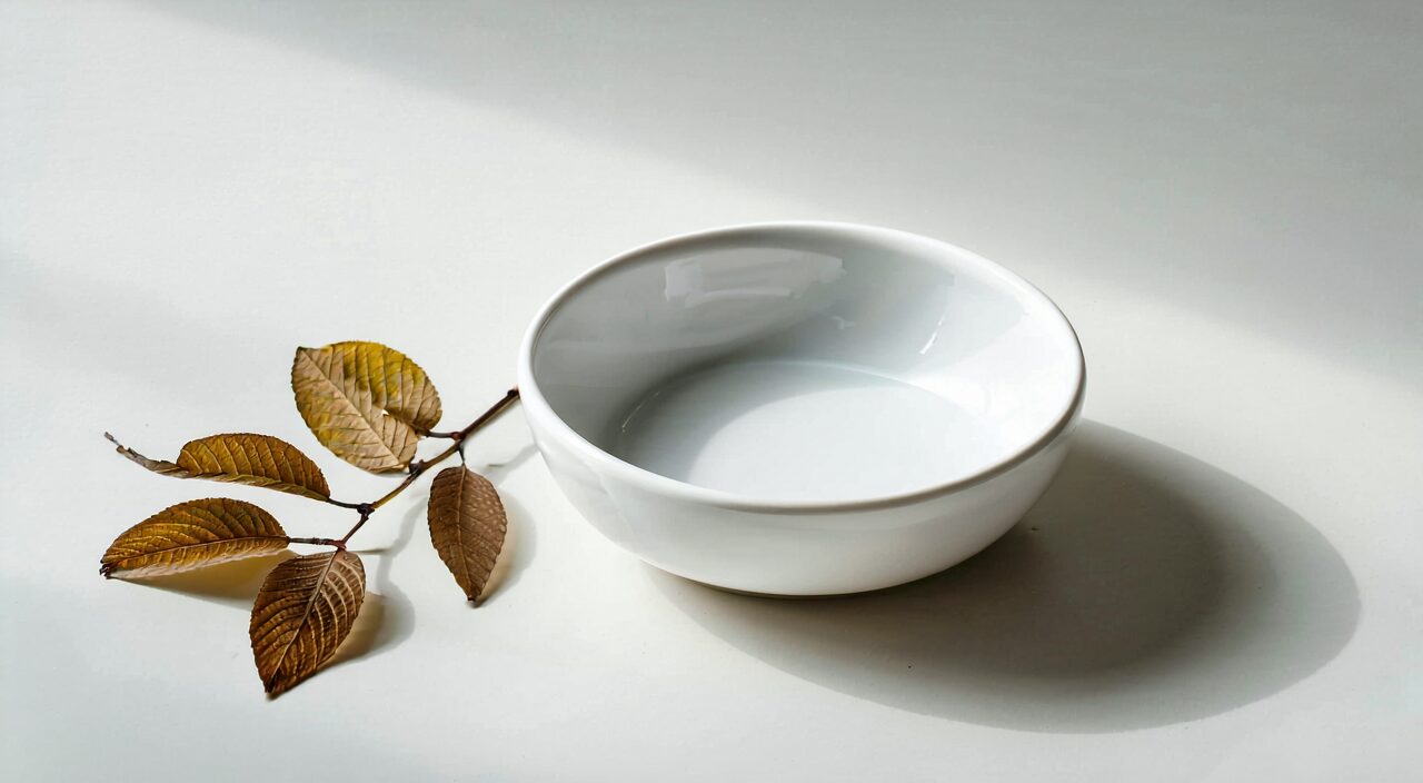 桑叶与简洁茶碗的安静画面