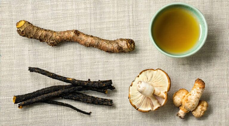 A serene still life arrangement of the four commonly used herbs for Four Gentlemen Decoction alongside the prepared decoction liquid