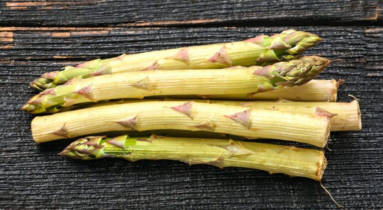 Panoramic view of Tian Dong (asparagus root) medicinal herb