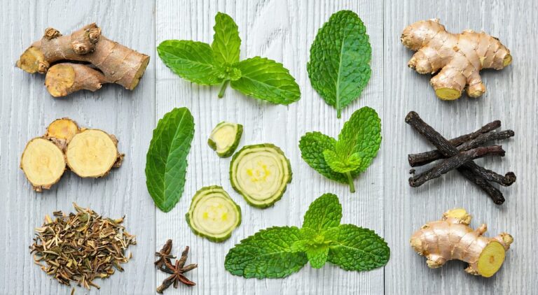 Still life of herbs related to Xiaoyao Pill, natural light, no text