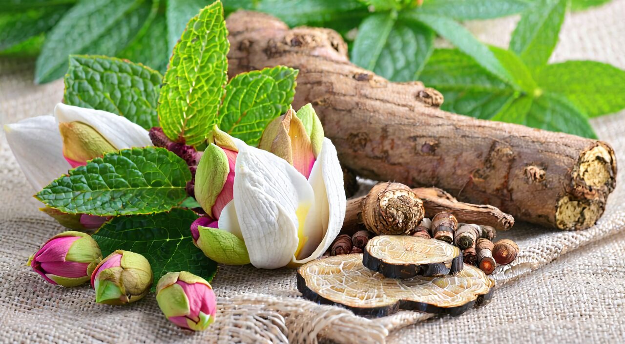 Common herbs in Xinyi San