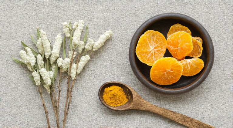 Photos of Atractylodes macrocephala and immature bitter orange herbs, a traditional Chinese medicine combination scene under natural light