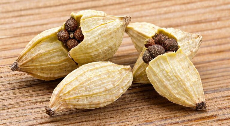 Close-up of dried white cardamom fruits