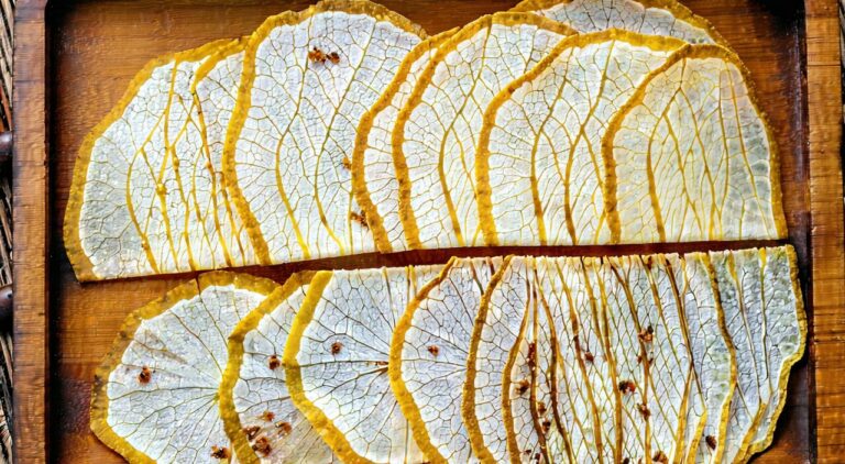 Bi Xie herbal slices