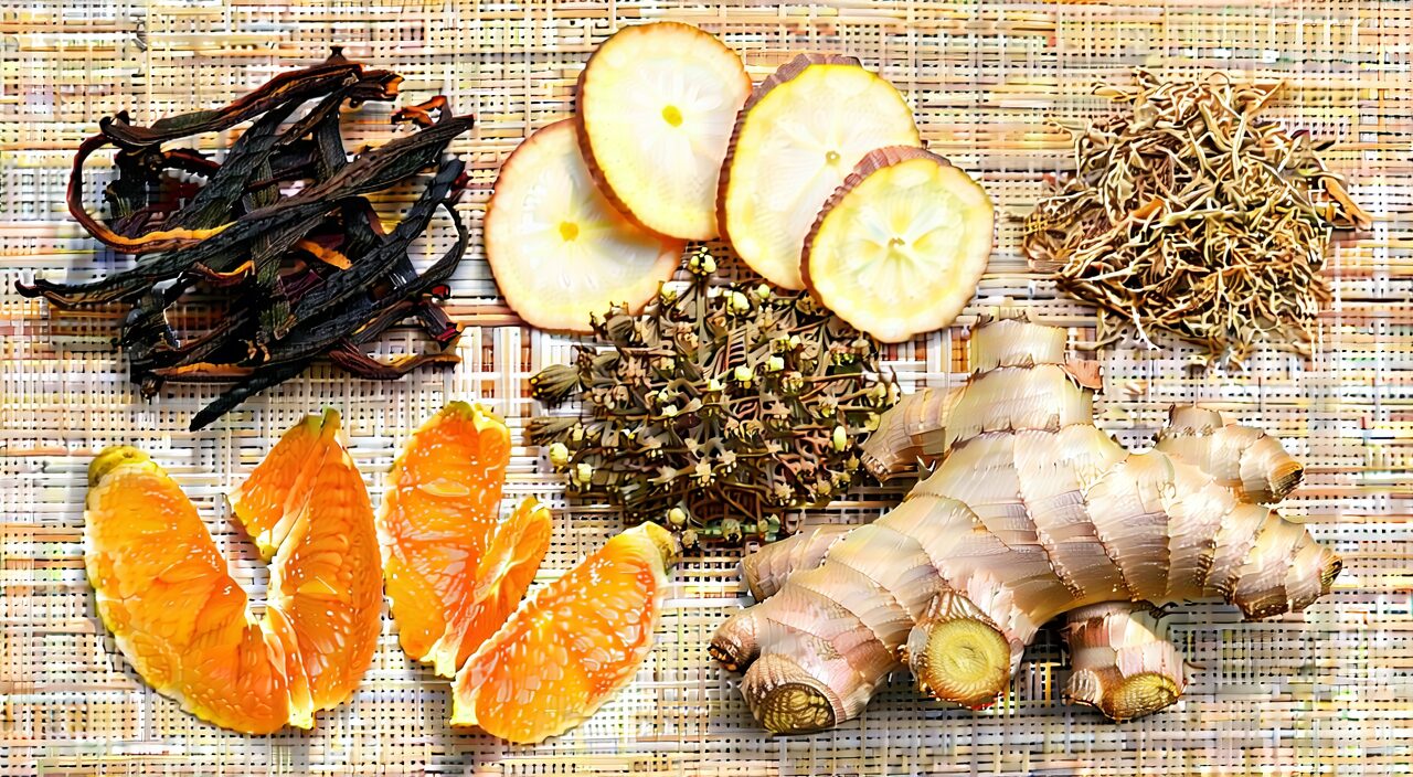 Combination of herbs commonly paired with Fa Ban Xia, including Chen Pi, Bai Zhu, and Sheng Jiang