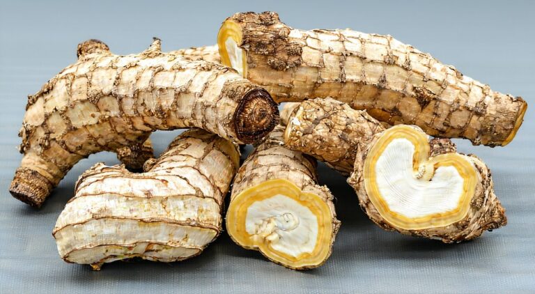 Appearance of dried Euphorbia kansui root tuber, bead-like or oblong-oval in shape, with a grayish-white or yellowish-white surface