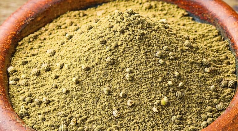 Close-up of Lygodium japonicum spore powder