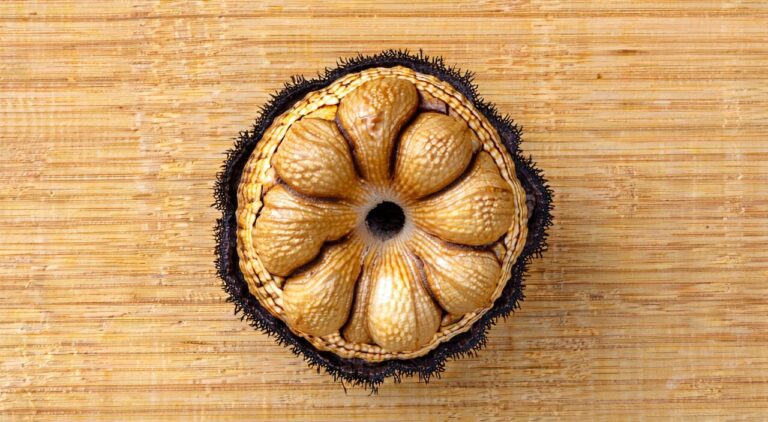 Close-up of dried monk fruit