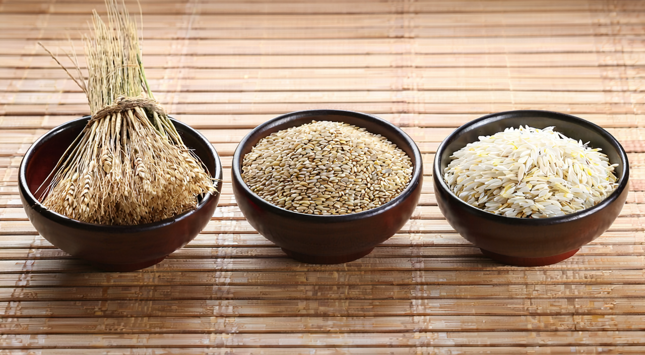 糯稻根、浮小麦、稻芽的对比