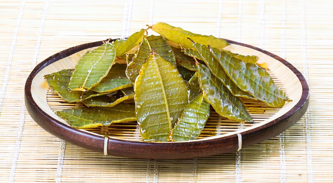 净枇杷叶与蜜枇杷叶