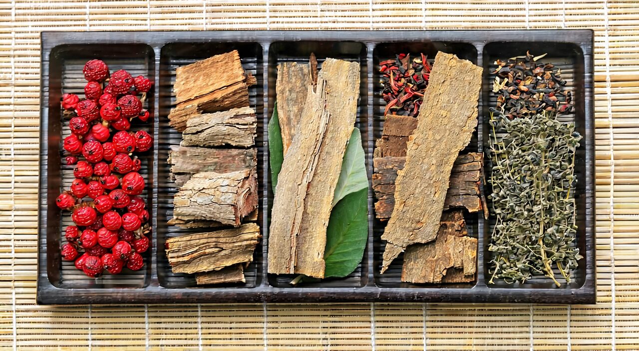 含桑白皮的经典方剂常用药材组合