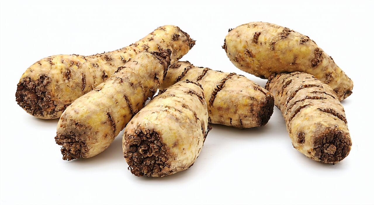 Spindle-shaped Wu Yao root tuber, yellowish-brown surface with fibrous root marks