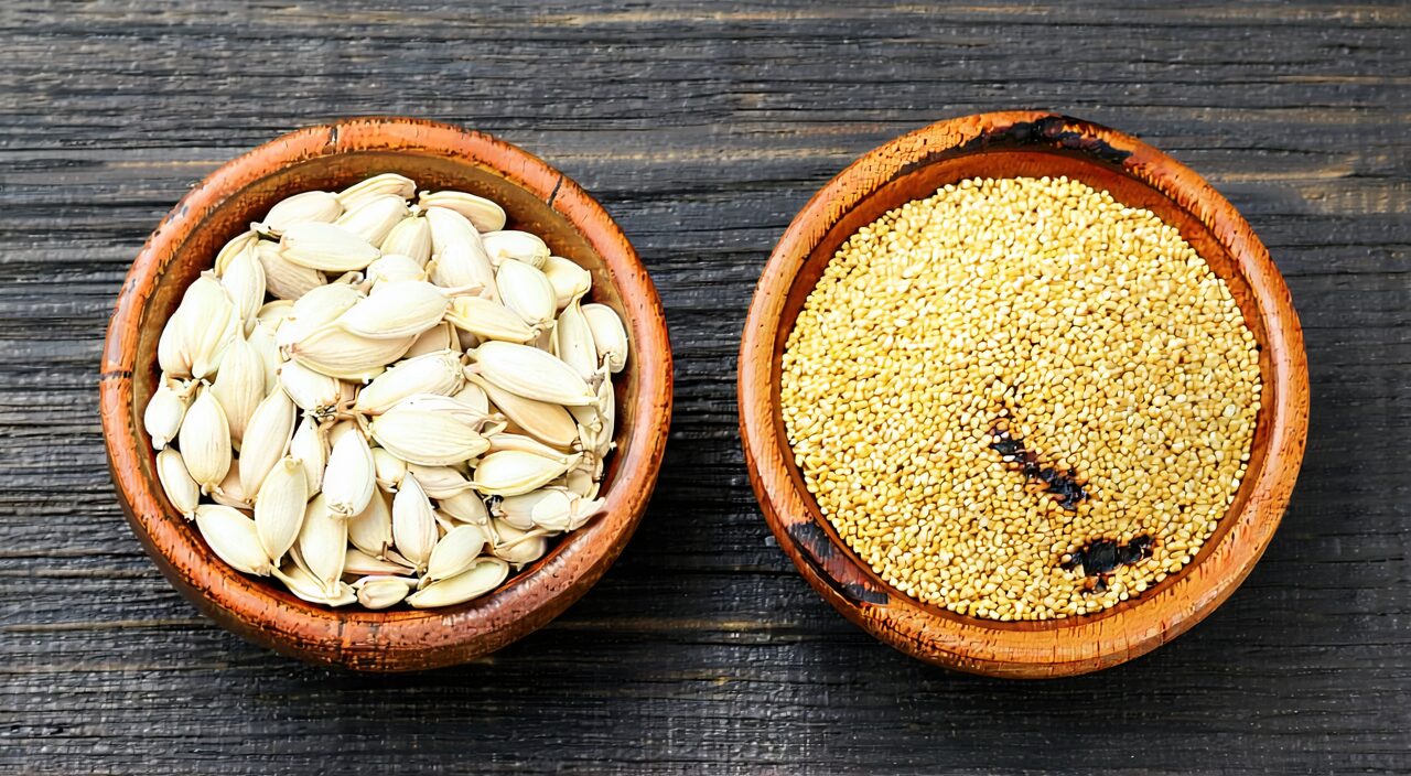 Comparison of raw coix seed and stir-fried coix seed