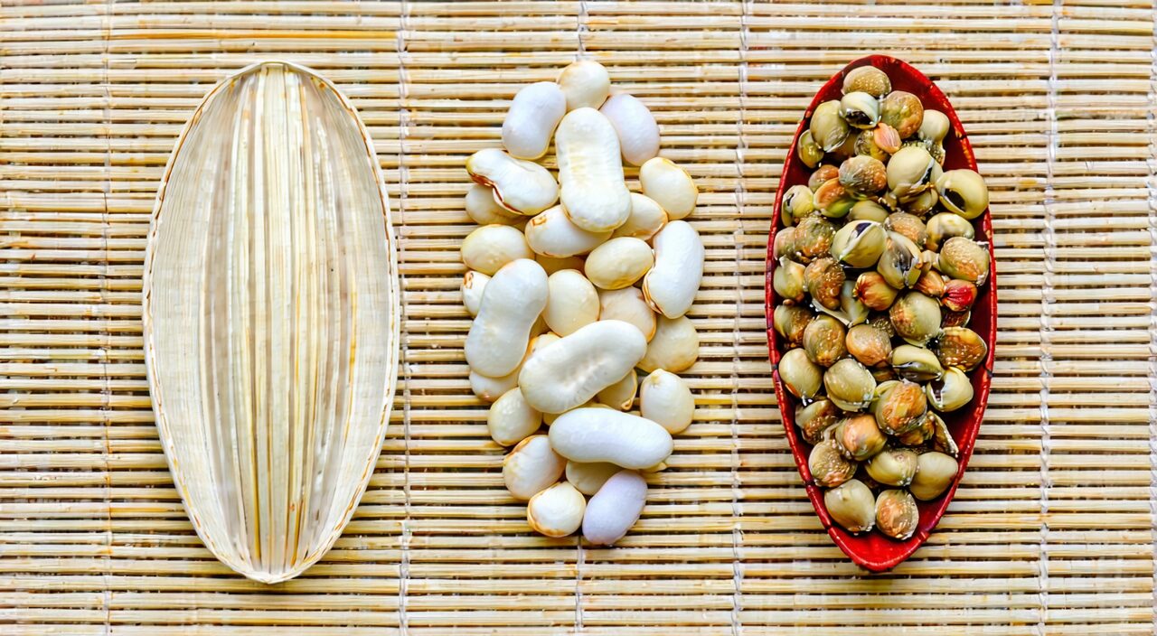 Appearance comparison of coix seed, white hyacinth bean, and Euryale seed