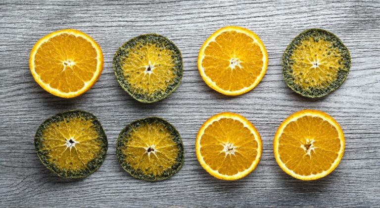 Multiple hemispherical dried slices of immature bitter orange, with greenish-brown outer skin and yellowish-white cut surface revealing radial pulp vesicles.