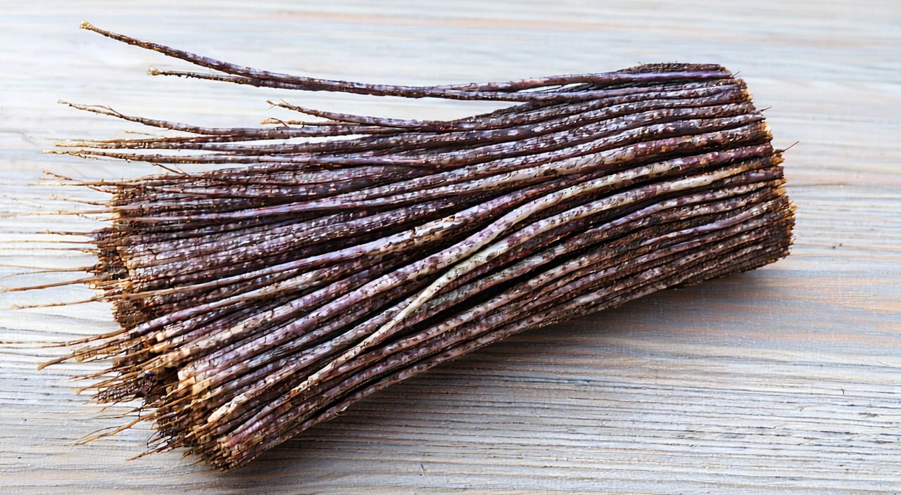 Root clump and rhizome features of Zi Wan medicinal material